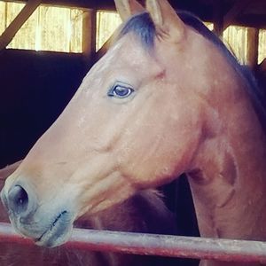 Meet your Posher, Sharon